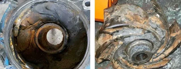 20241014110719 20241014110719